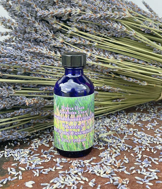 Lavandula intermedia Essential Oil- Grosso