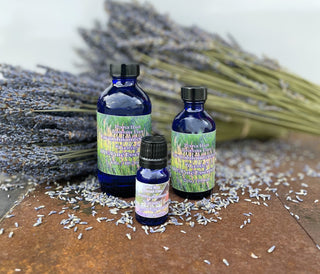 Lavandula intermedia Essential Oil- Grosso