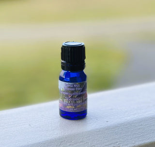 Lavandula intermedia Essential Oil- Grosso