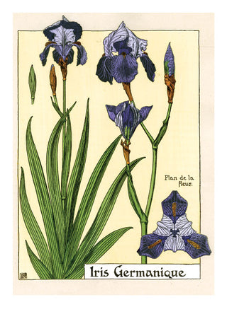 Art Nouveau in Bloom Boxed Greeting Card Set
