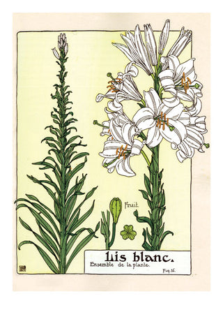 Art Nouveau in Bloom Boxed Greeting Card Set