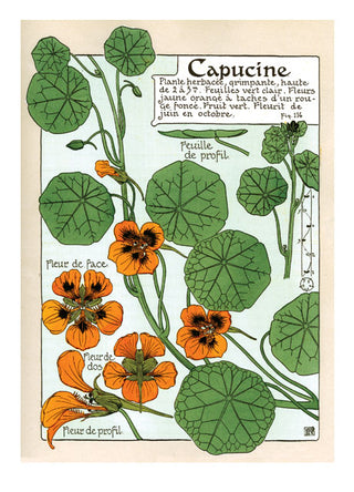 Art Nouveau in Bloom Boxed Greeting Card Set