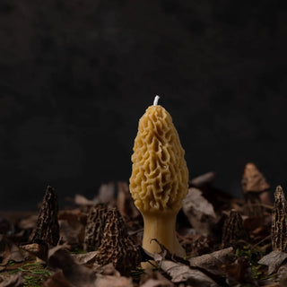 Morel Mushroom Beeswax Candle