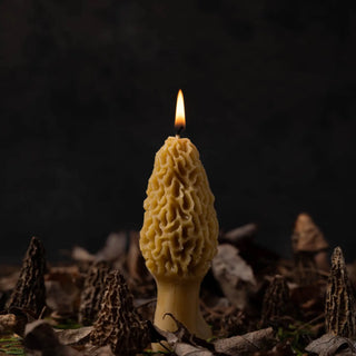 Morel Mushroom Beeswax Candle