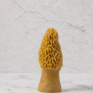 Morel Mushroom Beeswax Candle