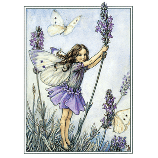 Flower Faerie Post Cards- Boxed Set