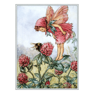 Flower Faerie Post Cards- Boxed Set
