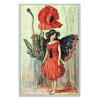 Flower Faerie Post Cards- Boxed Set