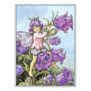 Flower Faerie Post Cards- Boxed Set