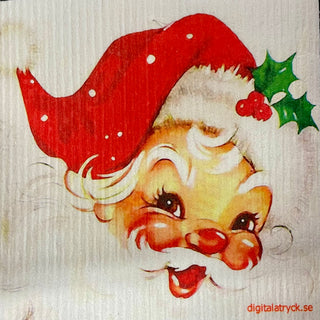 Wet-It Swedish Dish Towels