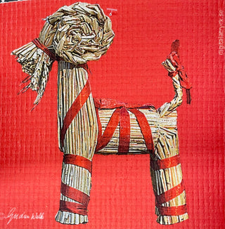 Wet-It Swedish Dish Towels