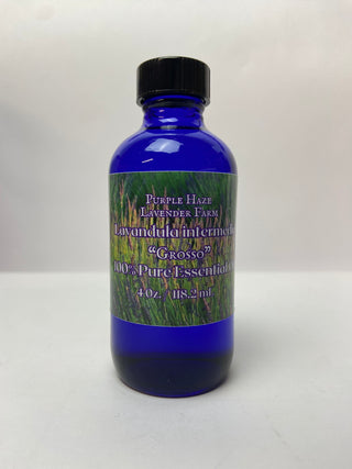 Lavandula intermedia Essential Oil- Grosso