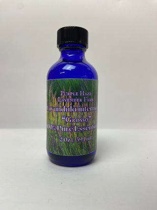 Lavandula intermedia Essential Oil- Grosso