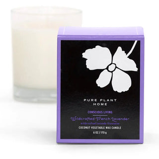 Coconut Wax Glass Candles in Gift Box