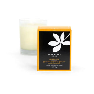 Coconut Wax Glass Candles in Gift Box