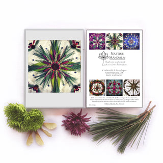 Mandala Art Boxed Card Set-Holiday Edition