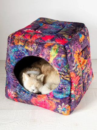 Collapsible Cat/Pet Bed