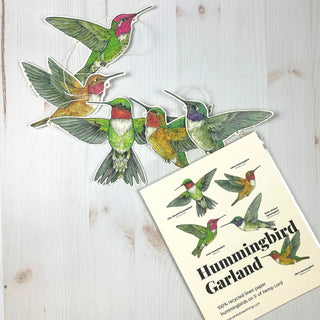 Hummingbird Illustrated Garland