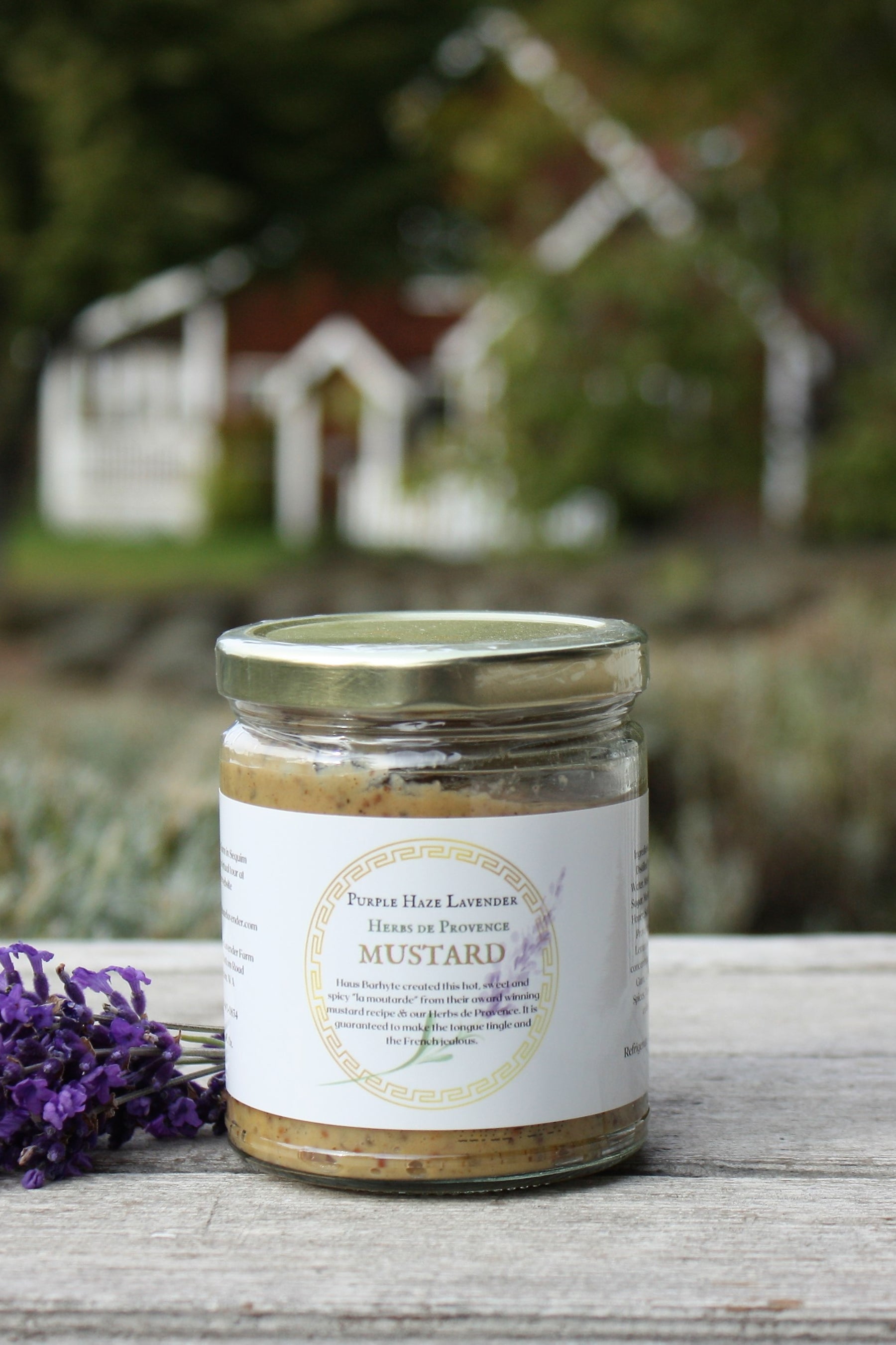 Lavender Herbs de Provence Mustard (Awardwinning!) Purple Haze