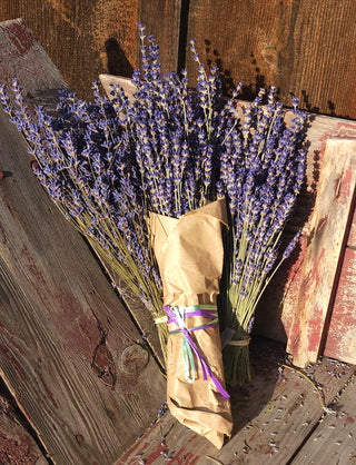 Dried Royal Velvet Field Bundle – Purple Haze Lavender Farm